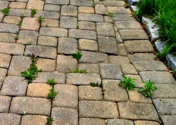damaged patio pavers overgrown with weeds